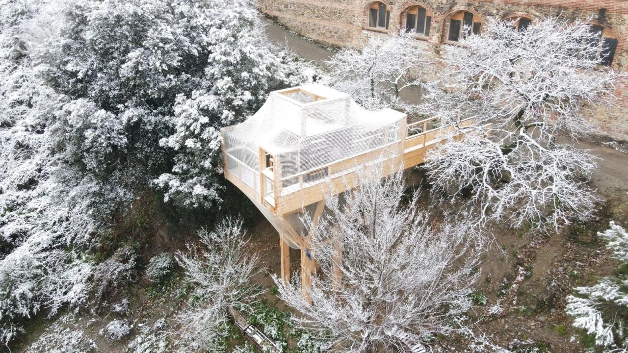 BIM Architecture | FLORA Observatory/IAAC
