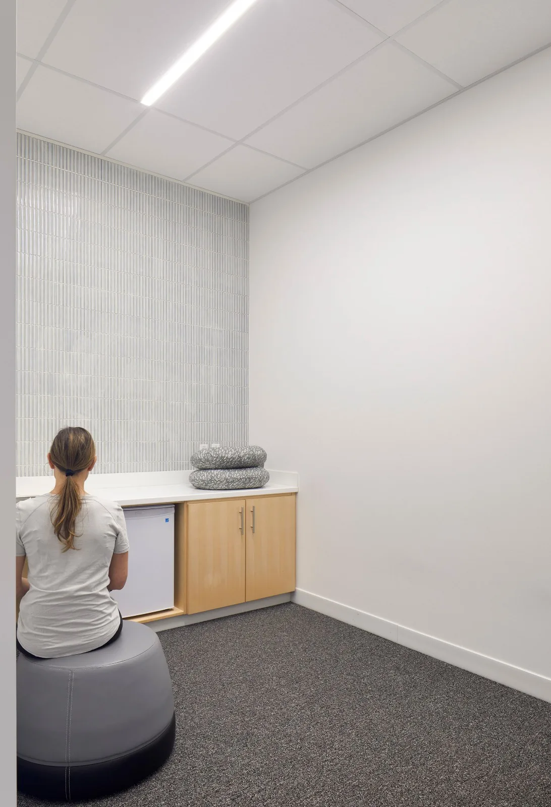 BIM Architecture | York University School of Continuing Education/Perkins&Associates; Will