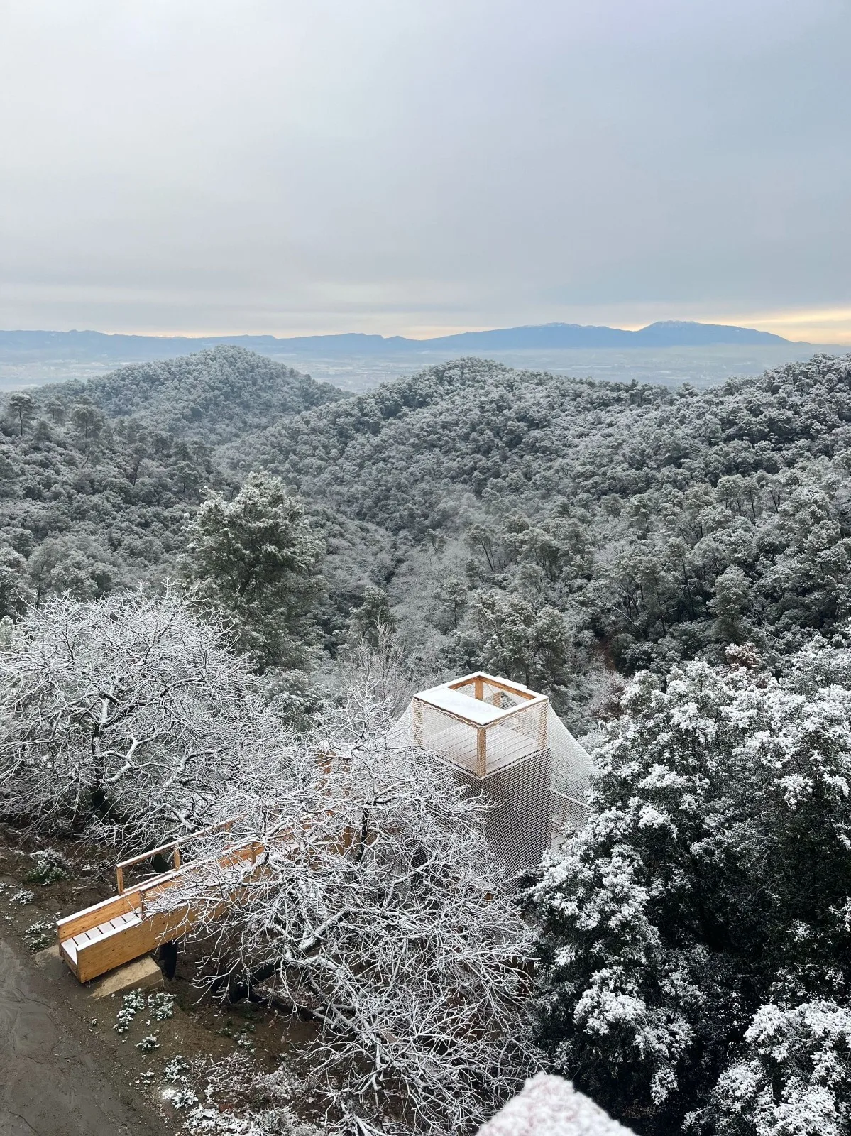 BIM Architecture | FLORA Observatory/IAAC
