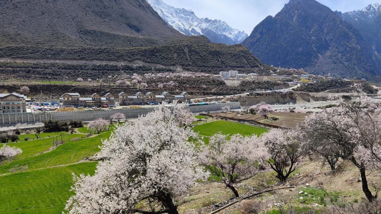 BIM architecture | Diaolou at the foot of snow mountain - Xizang Gama Xika homestay/hyperSity Architects