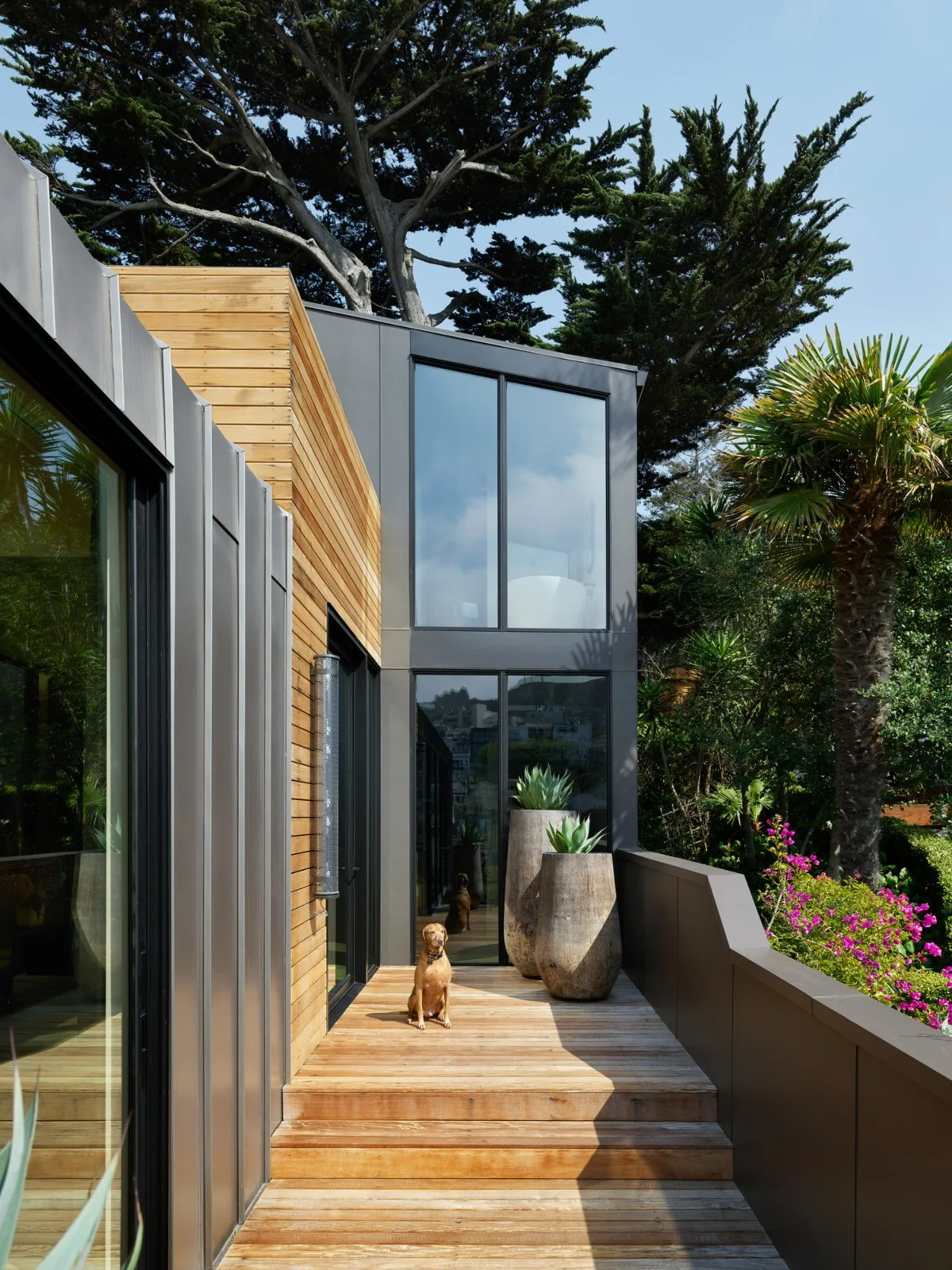 BIM Architecture | Dolores Highlands Residential/Jones | Haydu
