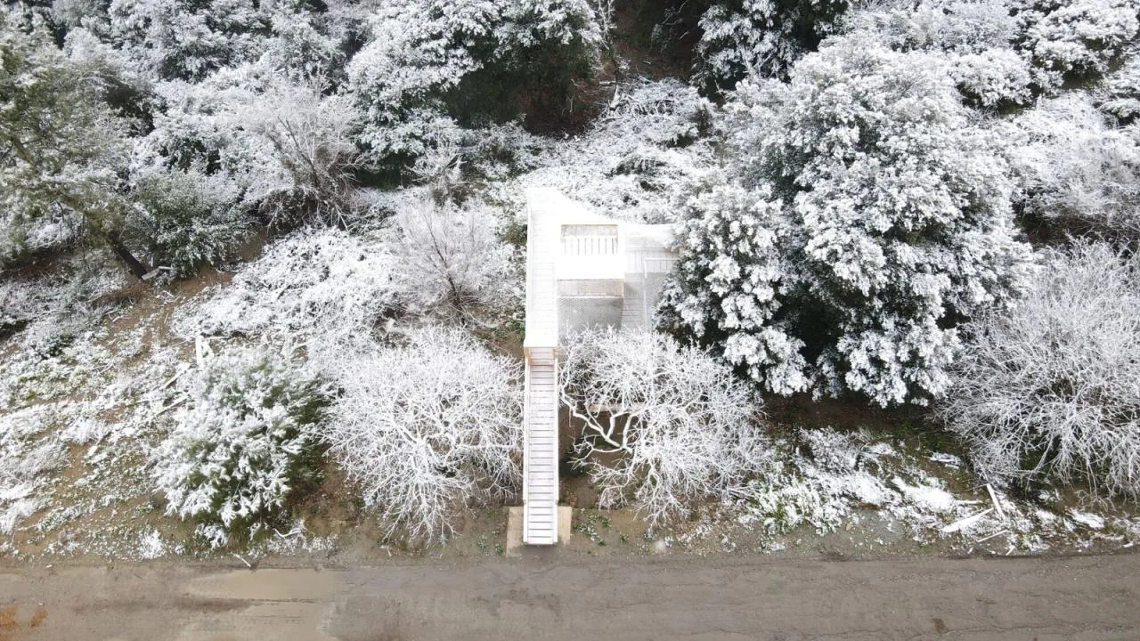 BIM Architecture | FLORA Observatory/IAAC