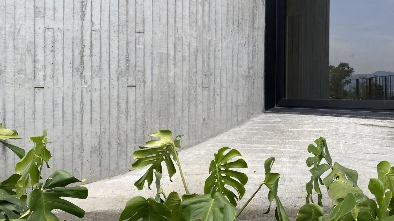 BIM Architecture | DL1310 Building/Young& Ayata + Michan Architecture