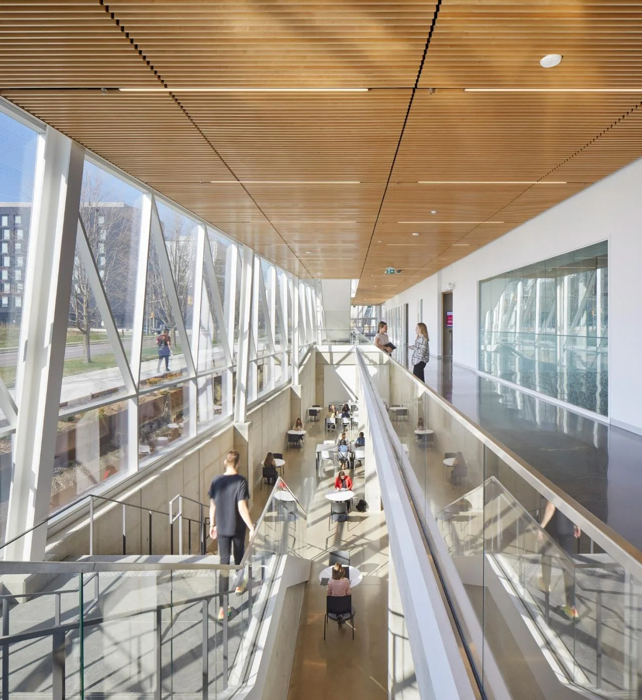 BIM Architecture | York University School of Continuing Education/Perkins&Associates; Will