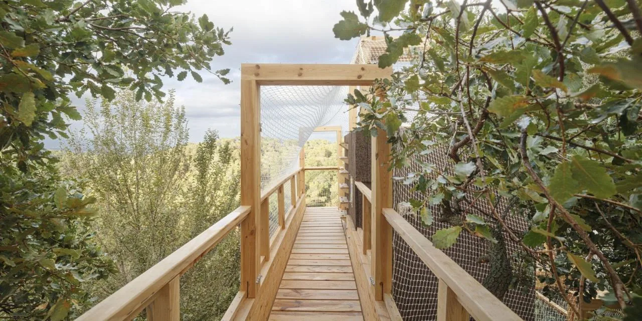 BIM Architecture | FLORA Observatory/IAAC