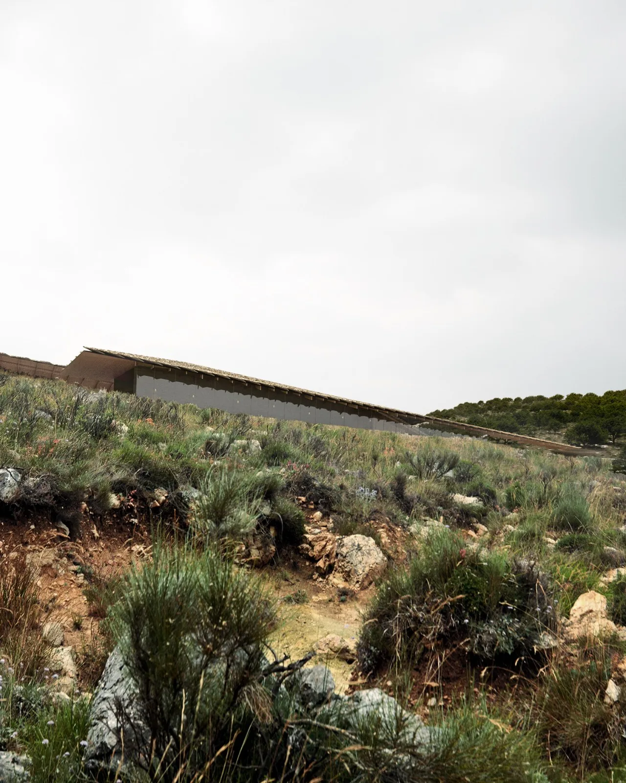 BIM Architecture | Narrative: World Heritage Butrint National Park Visitor Center Competition/Kengo Kuma