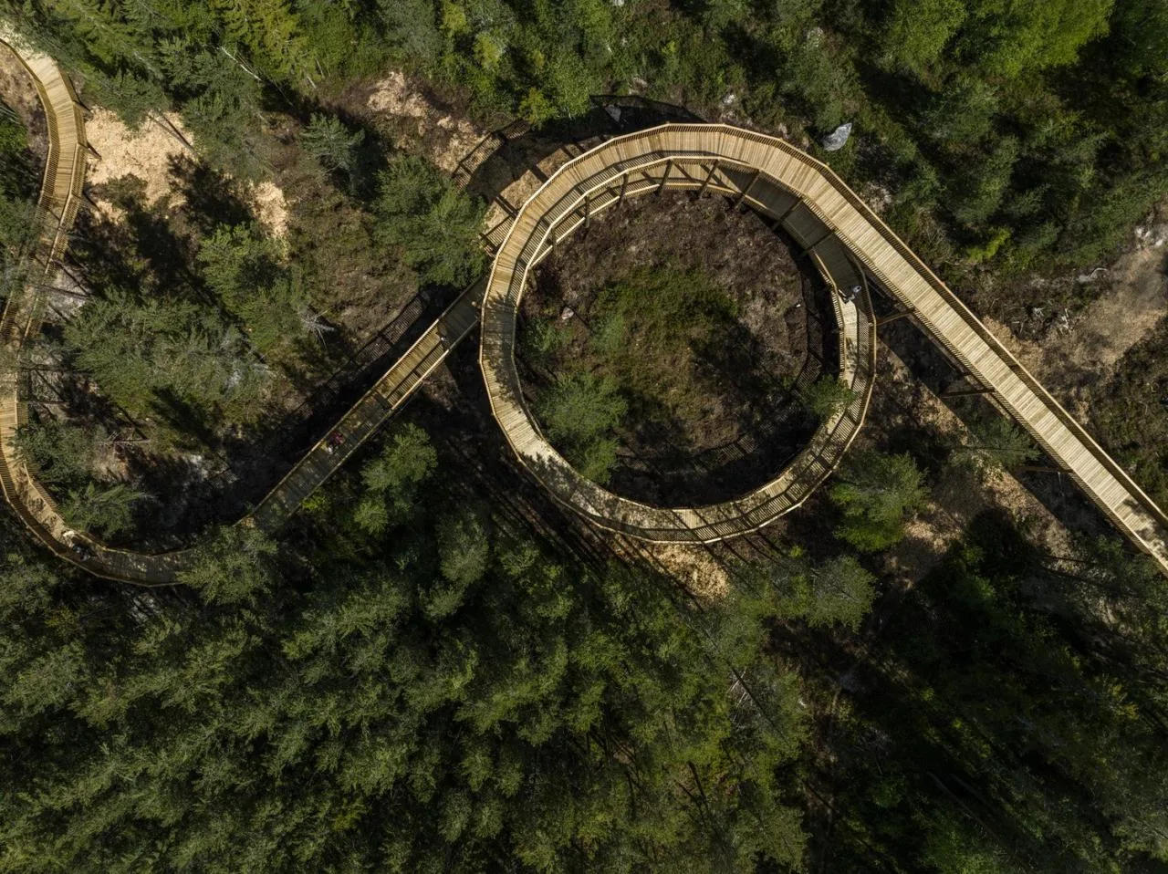 BIM Architecture | Tree Top Walk, Hamaren Activity Park/EFFEKT