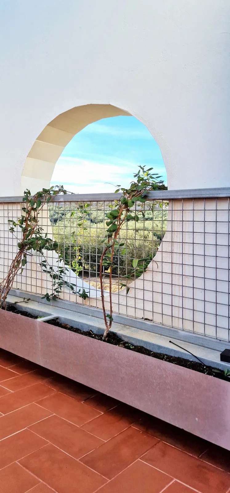 BIM Architecture | Freedom House/GRAO