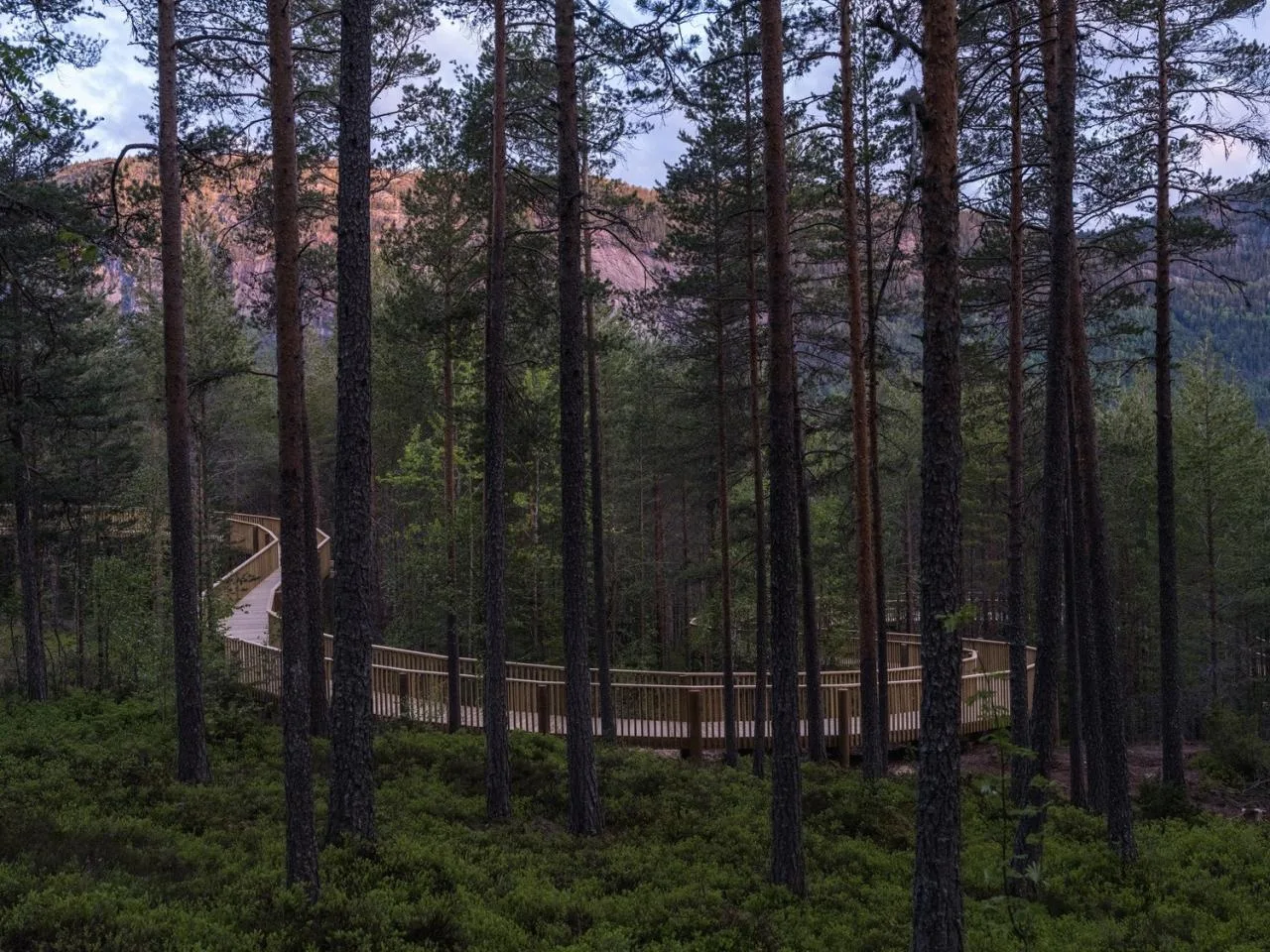 BIM Architecture | Tree Top Walk, Hamaren Activity Park/EFFEKT