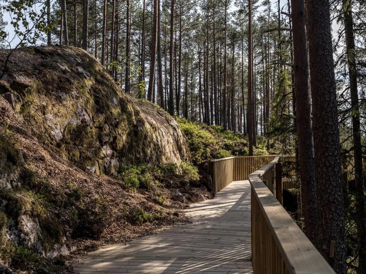 BIM Architecture | Tree Top Walk, Hamaren Activity Park/EFFEKT
