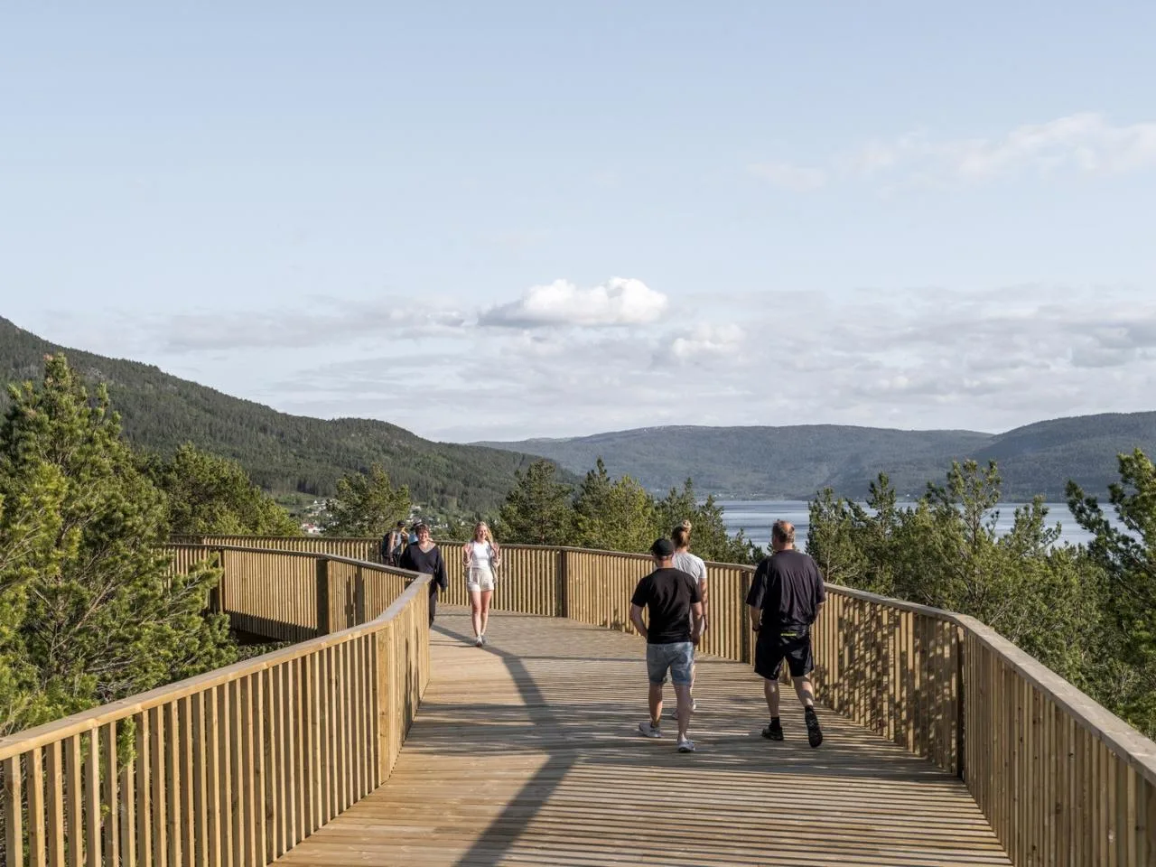 BIM Architecture | Tree Top Walk, Hamaren Activity Park/EFFEKT
