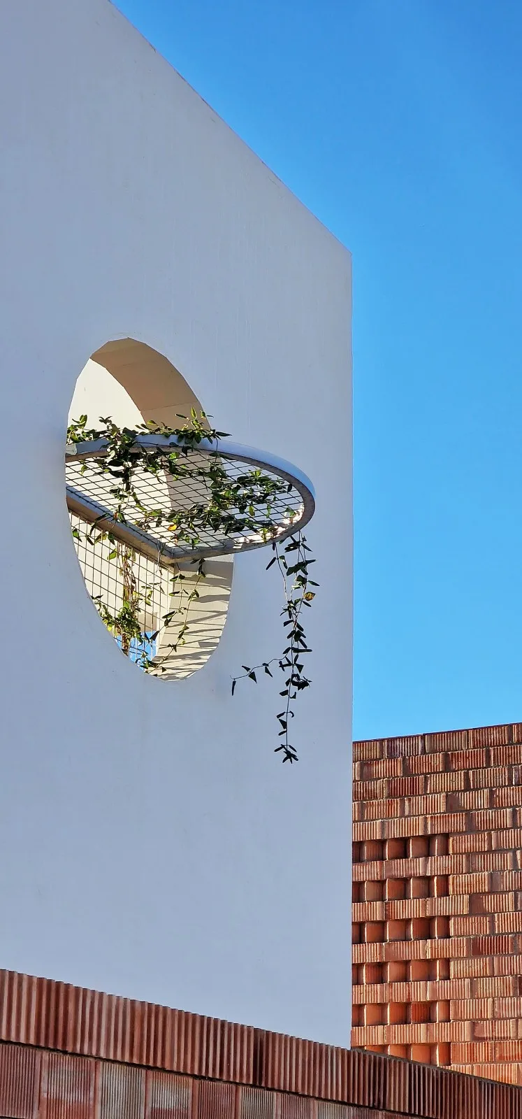 BIM Architecture | Freedom House/GRAO