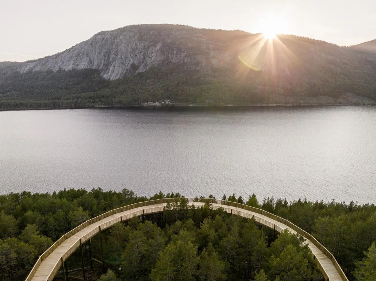 BIM Architecture | Tree Top Walk, Hamaren Activity Park/EFFEKT