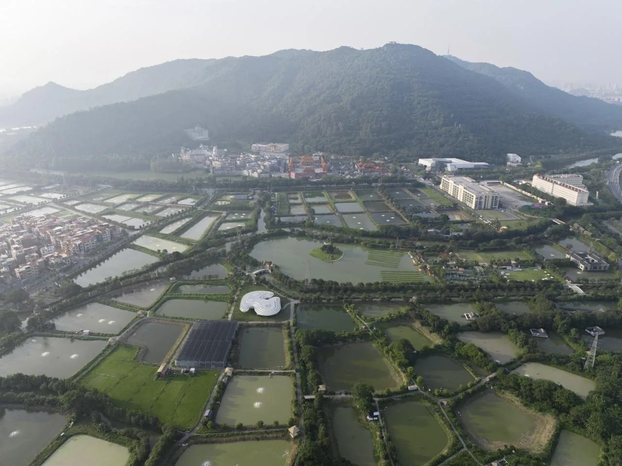 BIM Architecture | Ripple: Nanhai District Freshwater Fish Industry Technology Demonstration and Promotion Center/Wutopia Lab