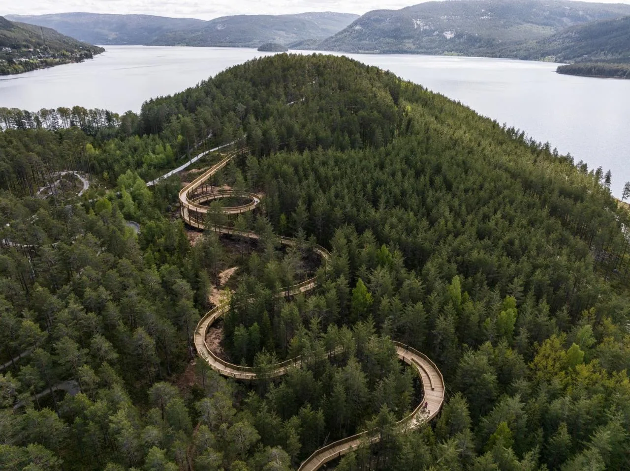 BIM Architecture | Tree Top Walk, Hamaren Activity Park/EFFEKT