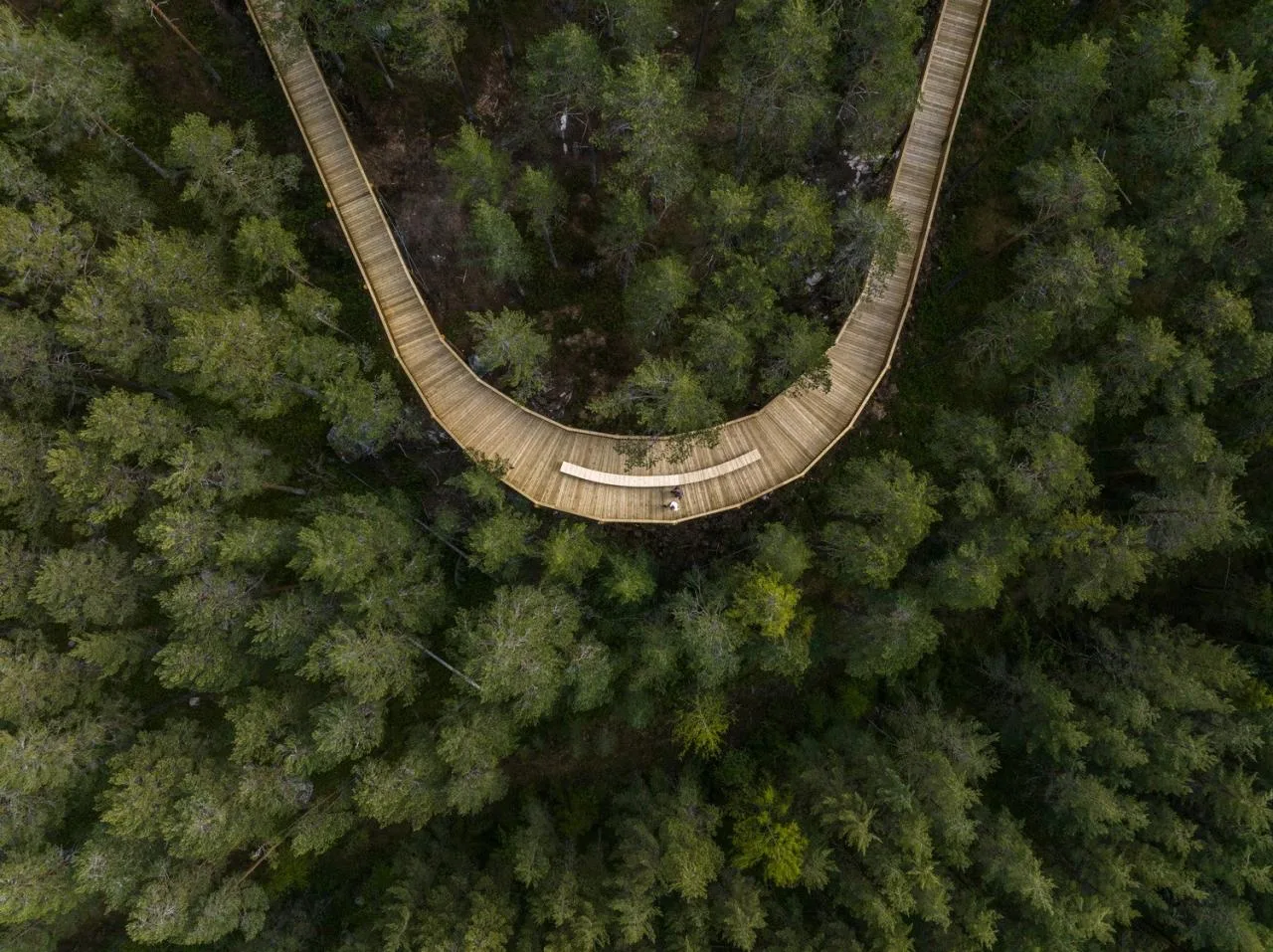 BIM Architecture | Tree Top Walk, Hamaren Activity Park/EFFEKT