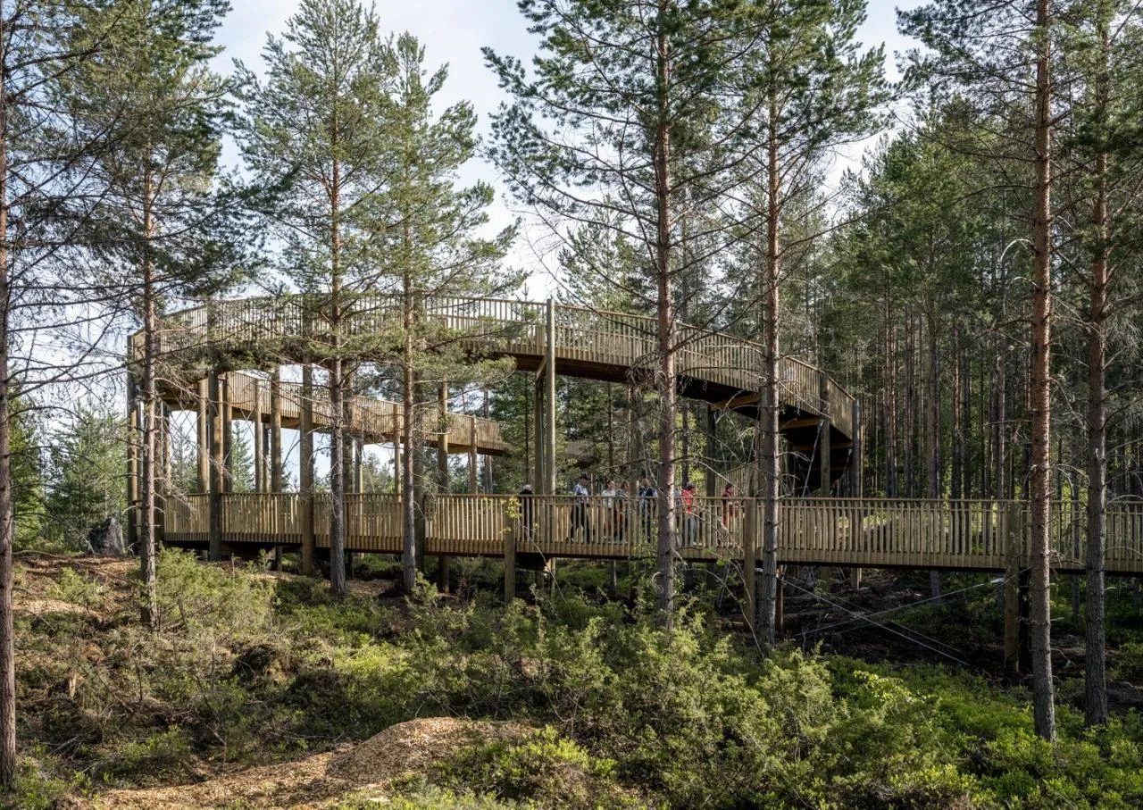 BIM Architecture | Tree Top Walk, Hamaren Activity Park/EFFEKT