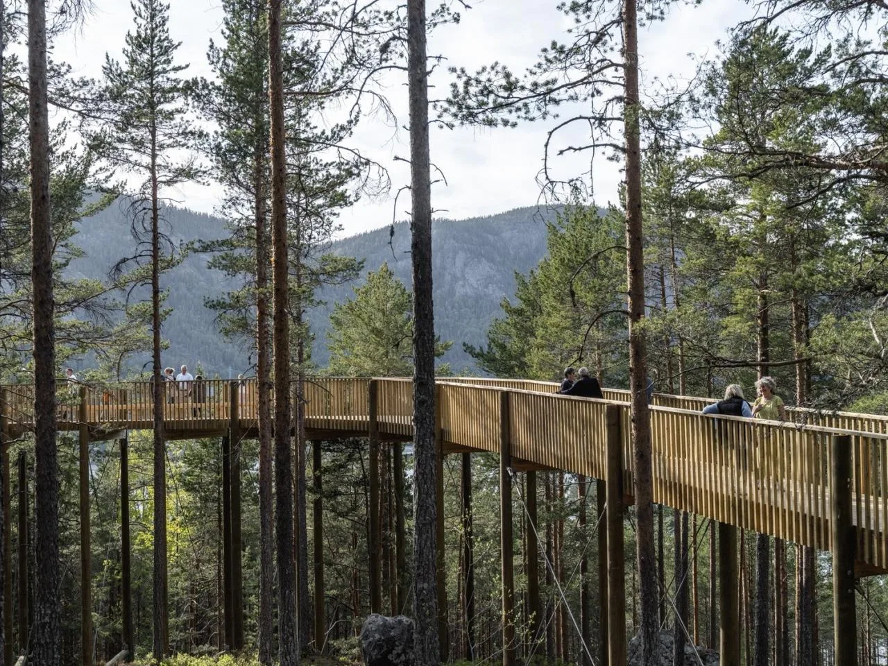 BIM Architecture | Tree Top Walk, Hamaren Activity Park/EFFEKT