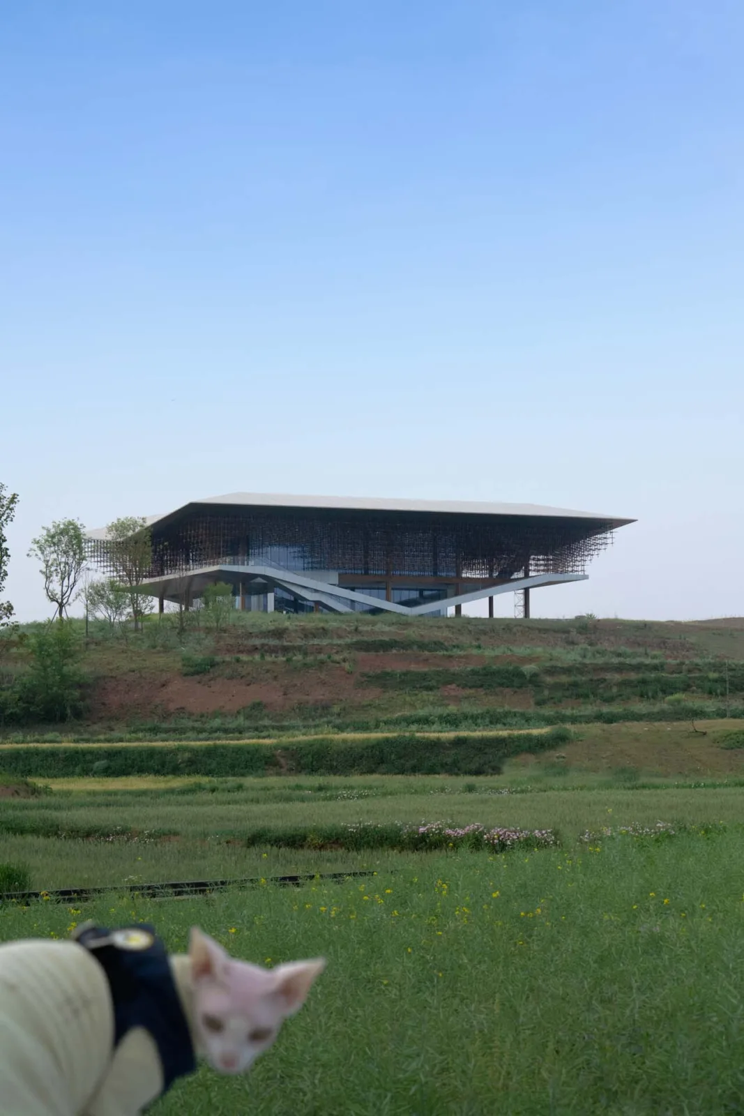 BIM Architecture | Tianfu Cultural and Creative City Planning Exhibition Hall/Ande Architectural Design
