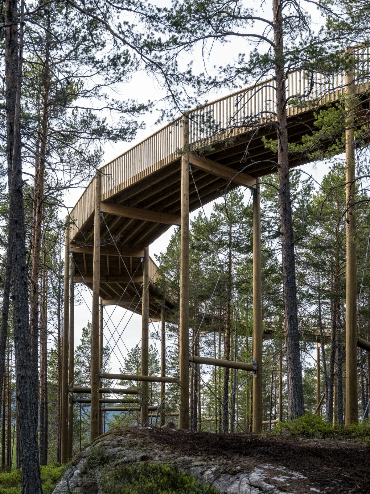 BIM Architecture | Tree Top Walk, Hamaren Activity Park/EFFEKT