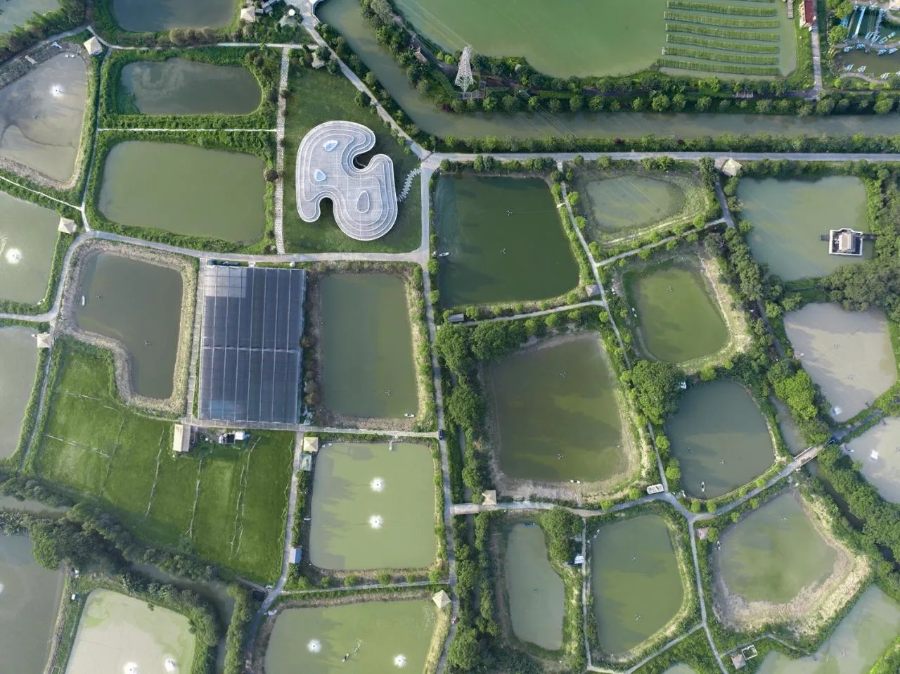 BIM Architecture | Ripple: Nanhai District Freshwater Fish Industry Technology Demonstration and Promotion Center/Wutopia Lab