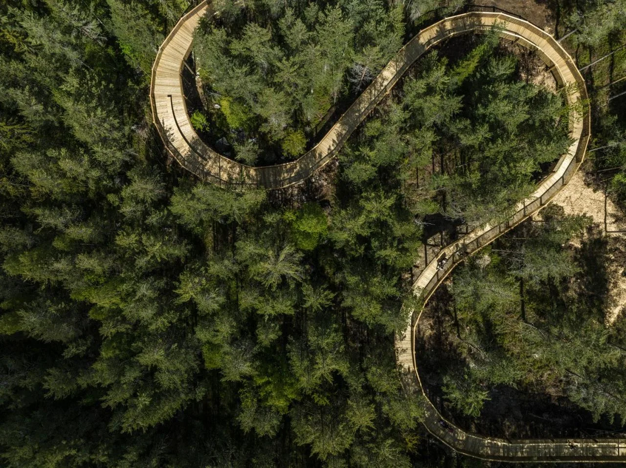 BIM Architecture | Tree Top Walk, Hamaren Activity Park/EFFEKT
