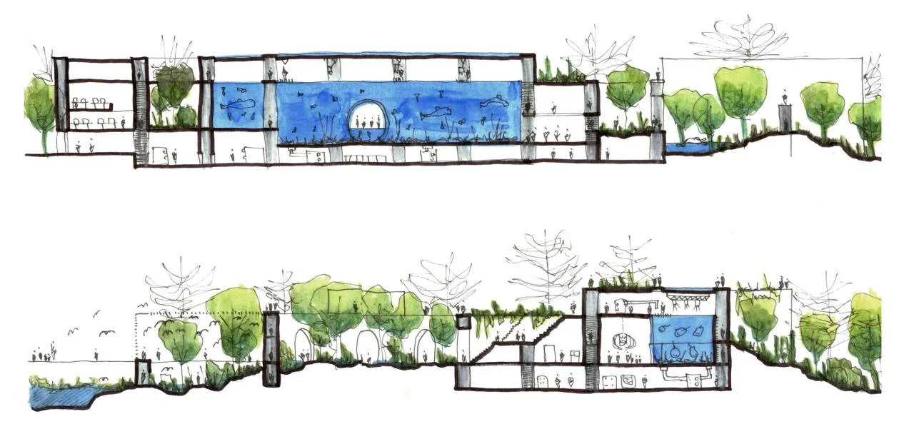 BIM Architecture | Cortes Marine Research Center/Tatiana Bilbao