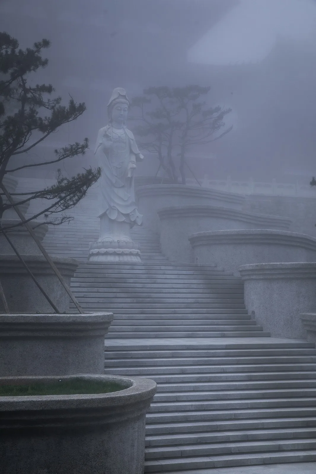 BIM Architecture | Zushan Jixin Temple · Wooden Buddha Museum/Architecture Camp Design Studio