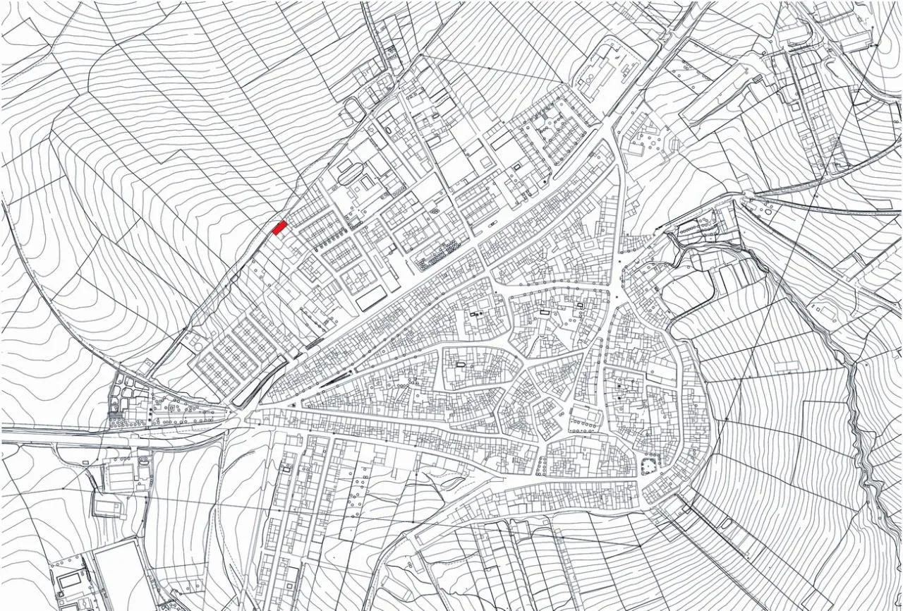 BIM Architecture | Freedom House/GRAO