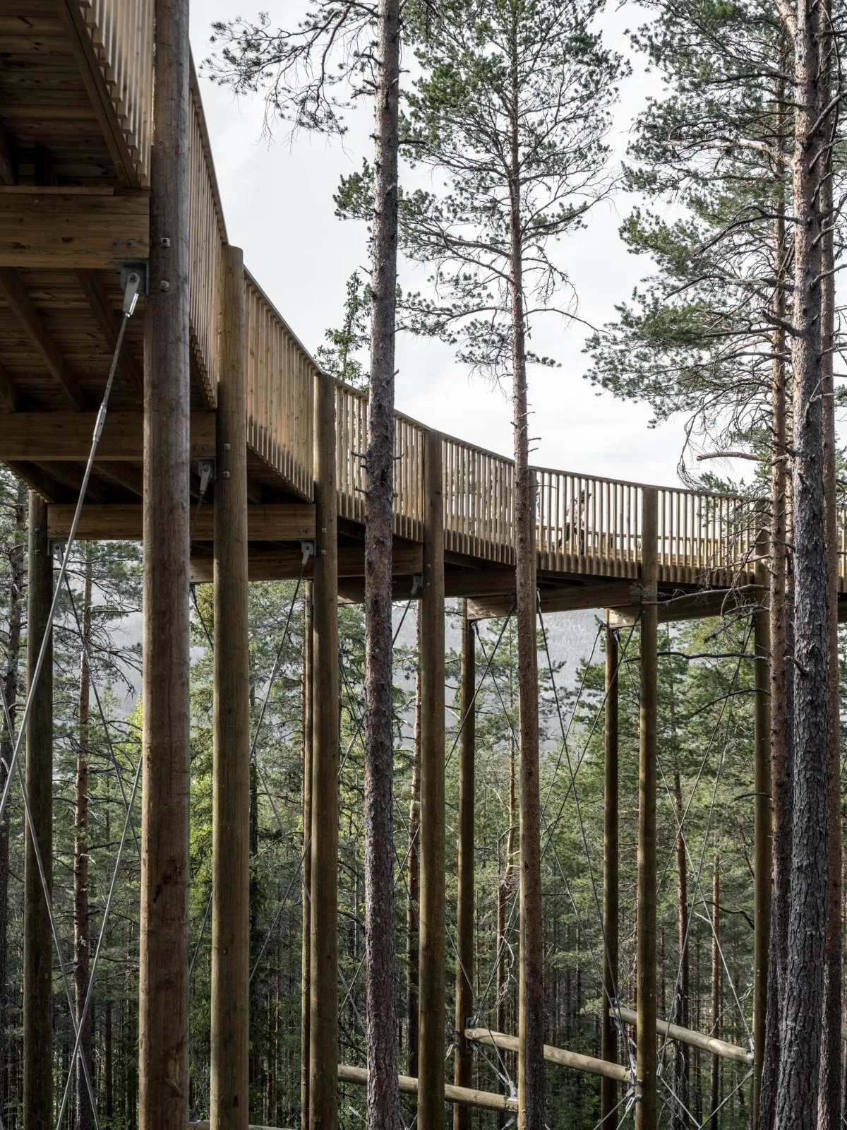 BIM Architecture | Tree Top Walk, Hamaren Activity Park/EFFEKT