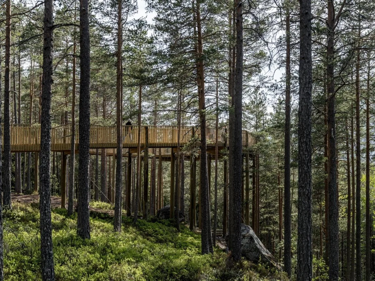 BIM Architecture | Tree Top Walk, Hamaren Activity Park/EFFEKT
