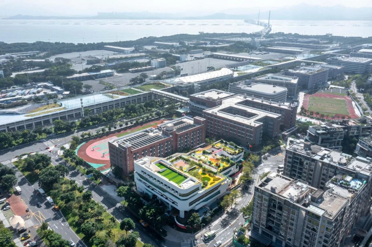 BIM Architecture | Nanshan District Education Kindergarten Shenzhen Bay Branch/Shenzhen Tianhua Architectural Design