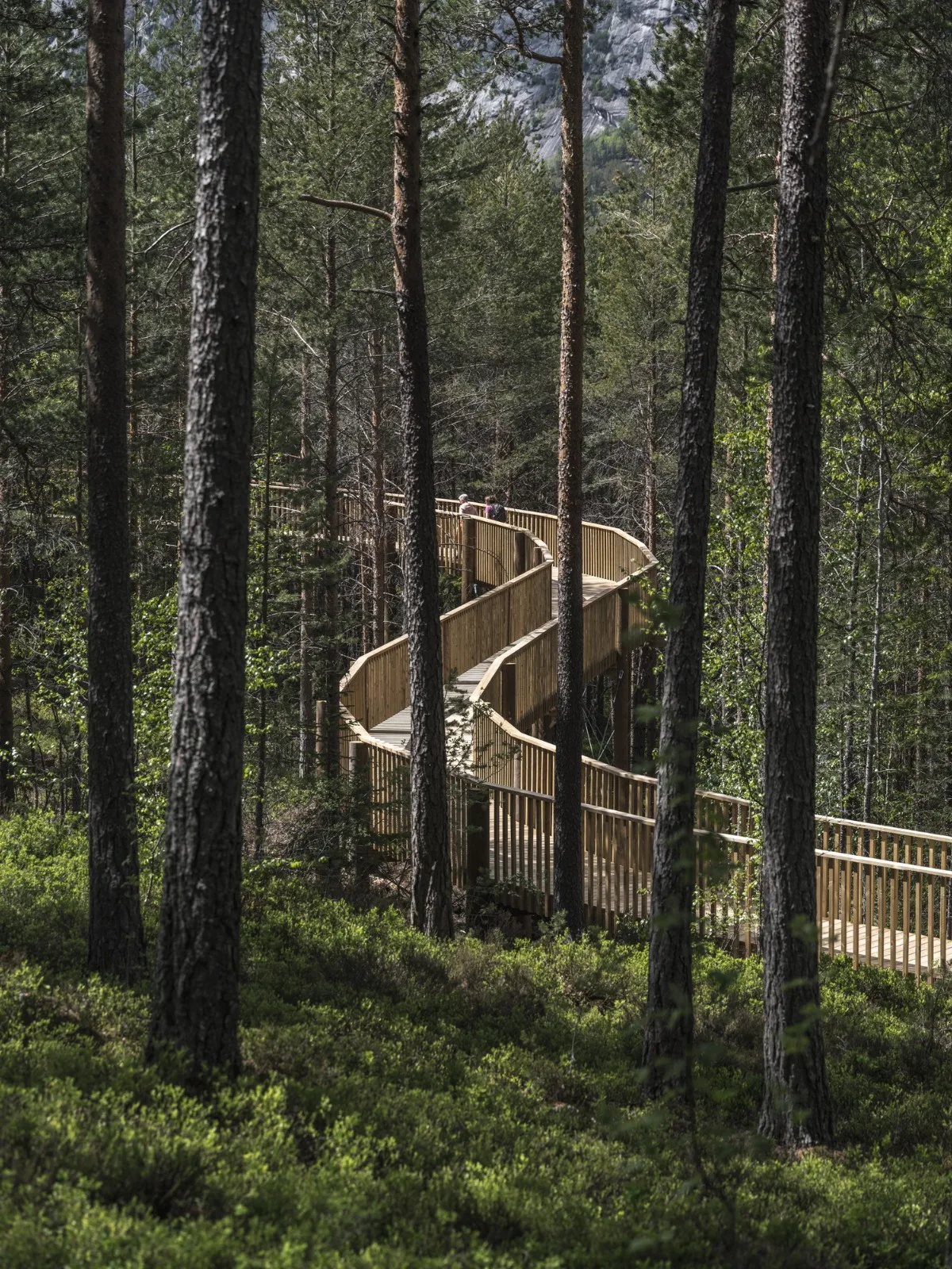 BIM Architecture | Tree Top Walk, Hamaren Activity Park/EFFEKT