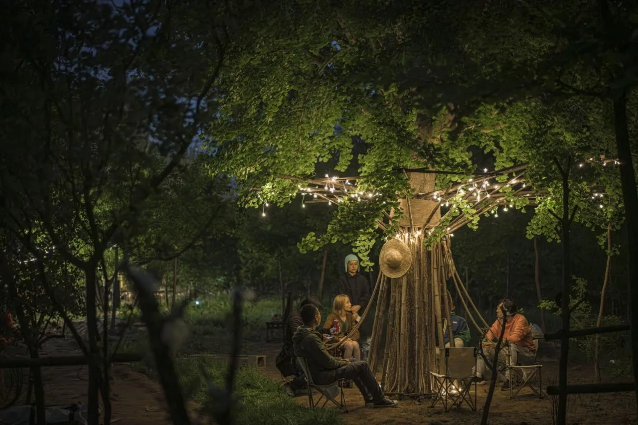 BIM Architecture | Embracing Sustainability: Bamboo Installation Tree of Life/UK Studio