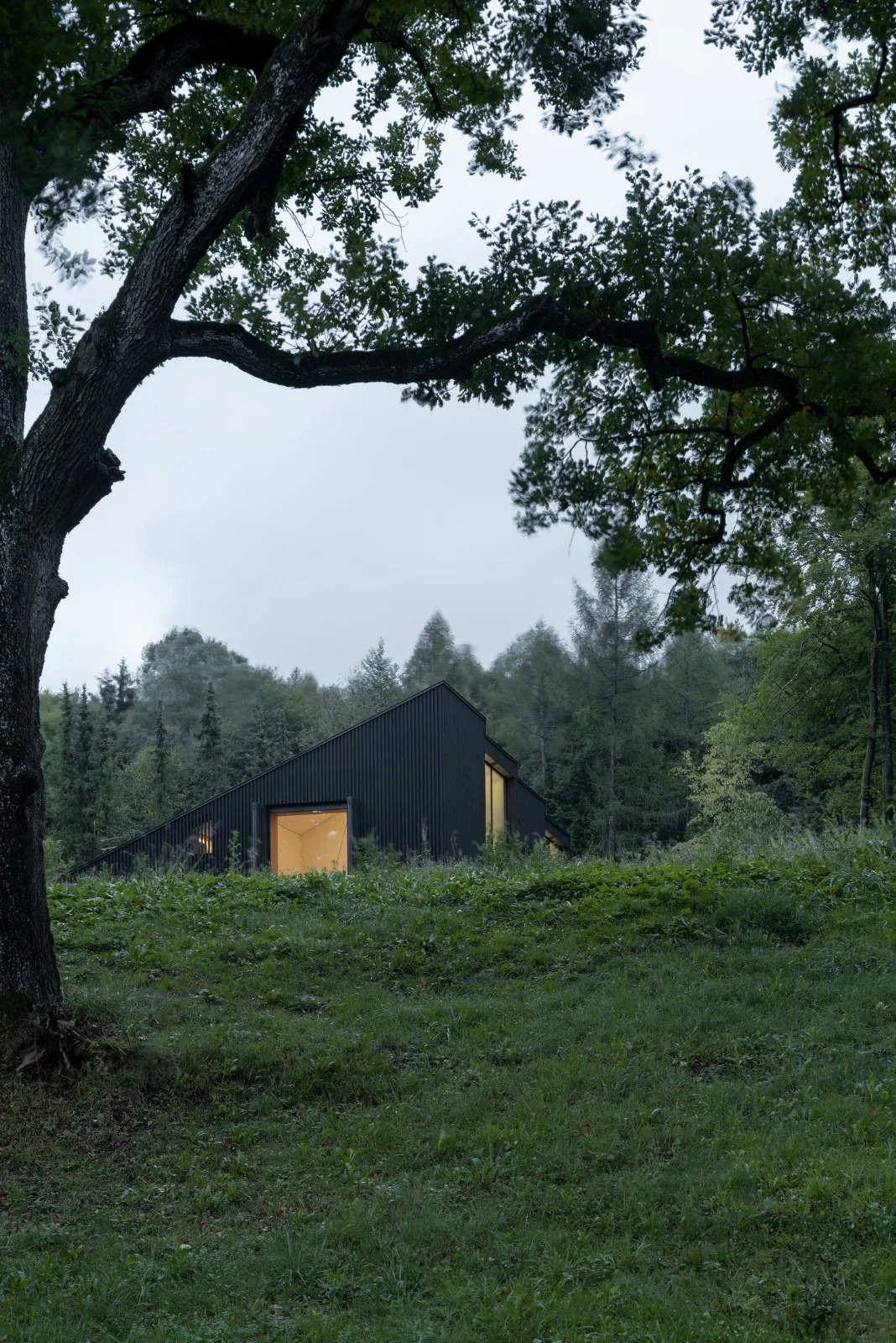 BIM architecture | Wooden cube, lakeside wooden house/Appels Architekten