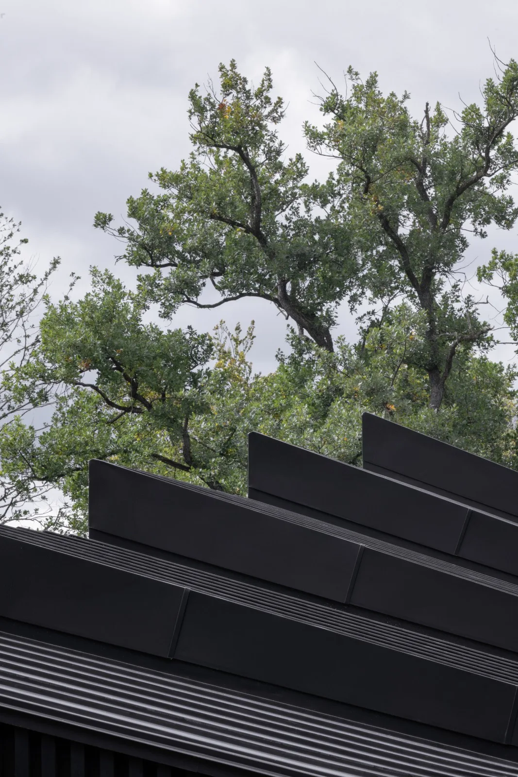 BIM architecture | Wooden cube, lakeside wooden house/Appels Architekten