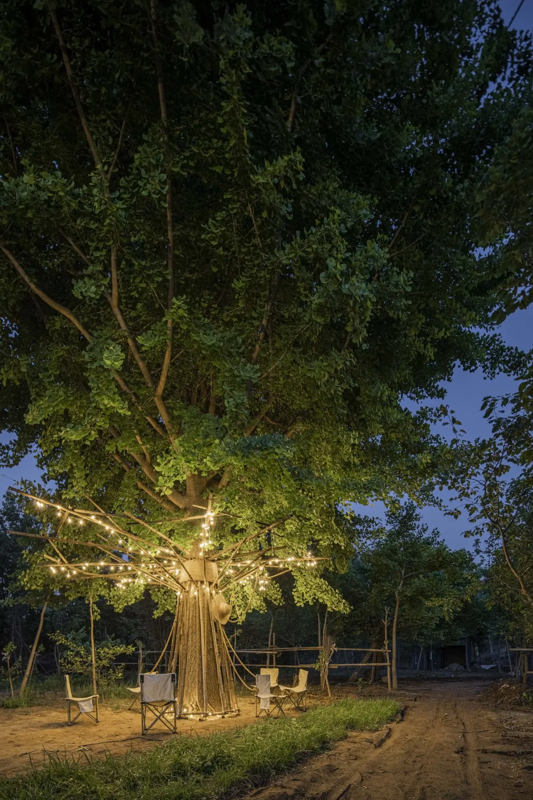BIM Architecture | Embracing Sustainability: Bamboo Installation Tree of Life/UK Studio
