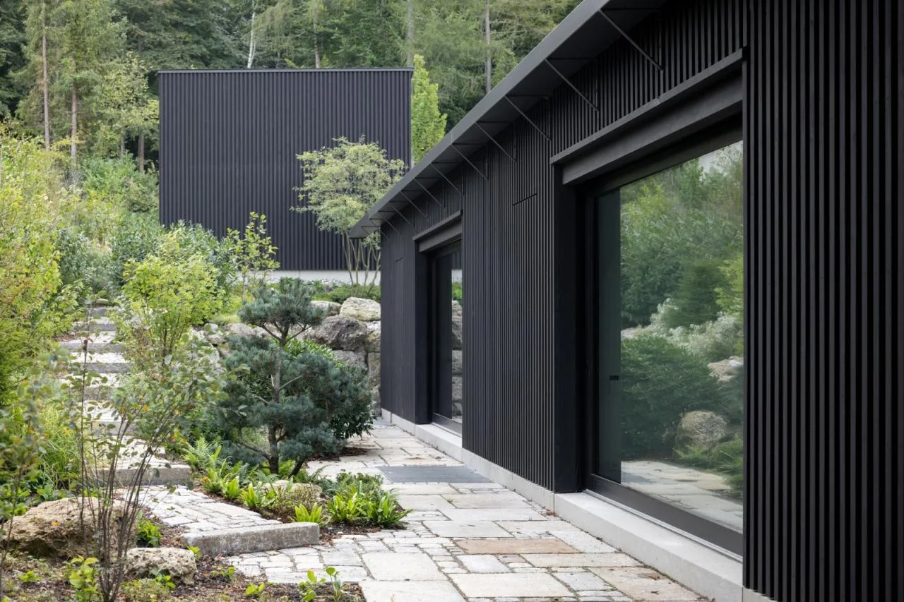 BIM architecture | Wooden cube, lakeside wooden house/Appels Architekten