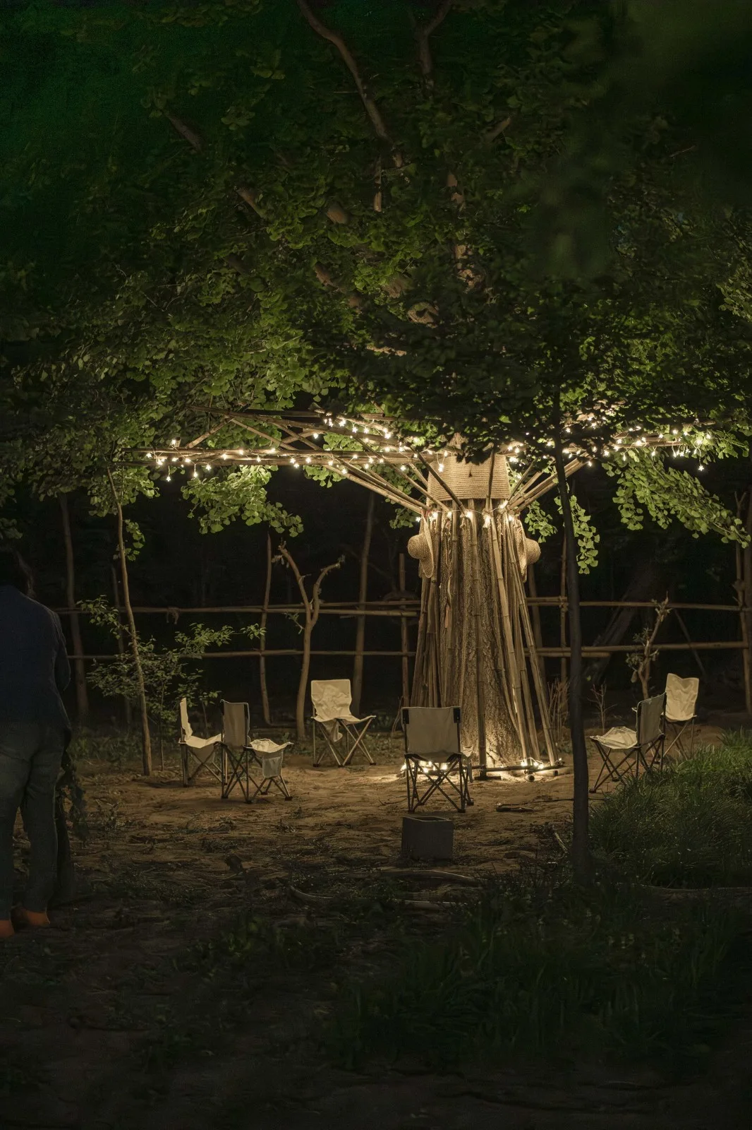 BIM Architecture | Embracing Sustainability: Bamboo Installation Tree of Life/UK Studio