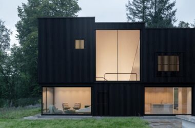BIM Architecture: Lakeside Wooden Cube House by Appels Architekten-BIM WORLD
