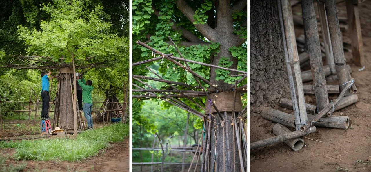 BIM Architecture | Embracing Sustainability: Bamboo Installation Tree of Life/UK Studio