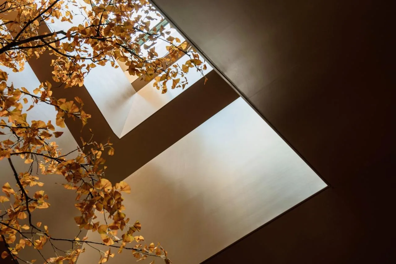 BIM Architecture | Light Courtyard: Boxin Community Neighborhood Center/Meng Fanhao Line+Architectural Firm