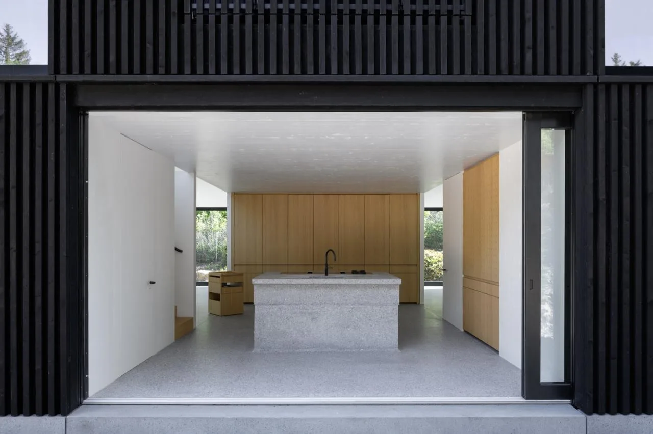 BIM architecture | Wooden cube, lakeside wooden house/Appels Architekten