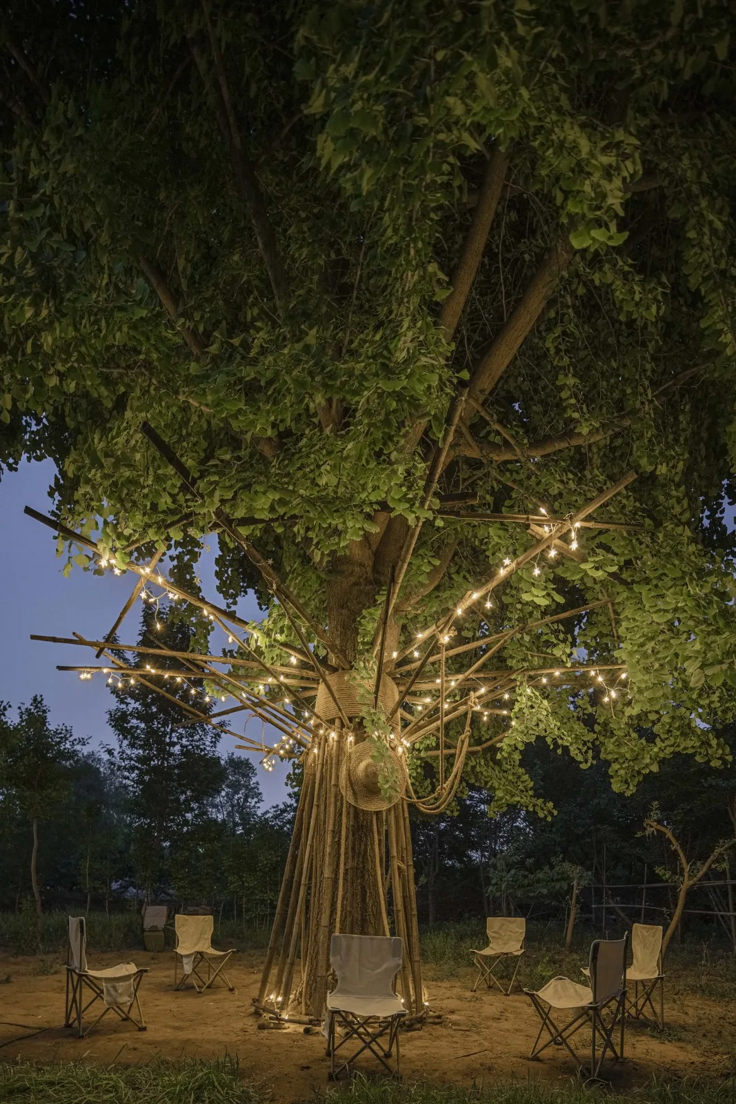 BIM Architecture | Embracing Sustainability: Bamboo Installation Tree of Life/UK Studio