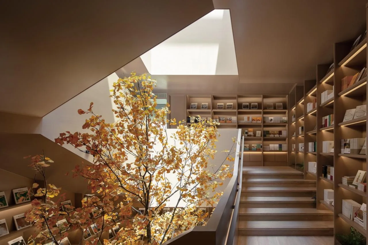 BIM Architecture | Light Courtyard: Boxin Community Neighborhood Center/Meng Fanhao Line+Architectural Firm