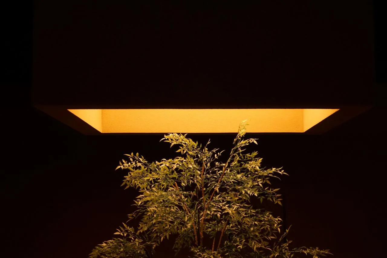 BIM Architecture | Introverted Therapy SPA, Shenyang/Natural Architecture
