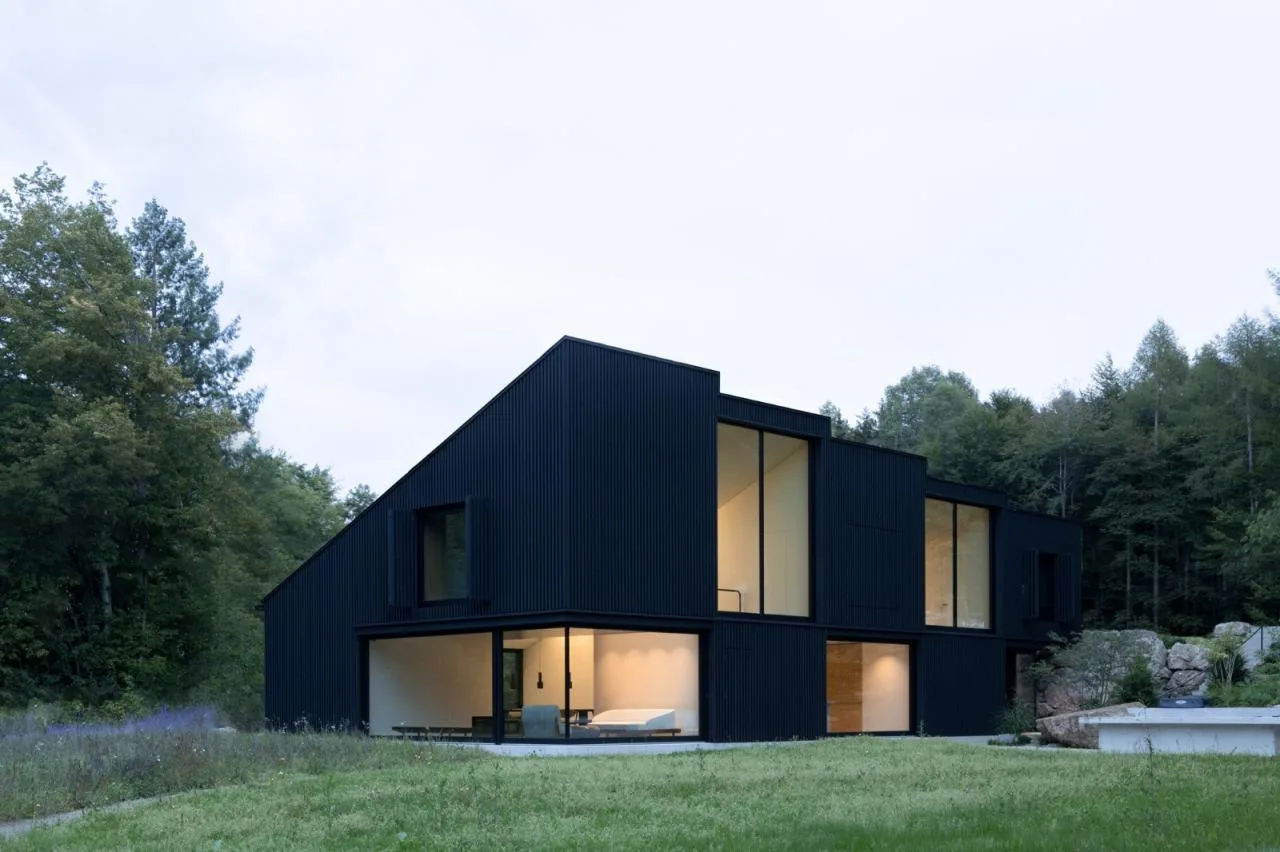 BIM architecture | Wooden cube, lakeside wooden house/Appels Architekten
