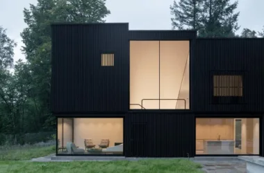 BIM Architecture: Lakeside Wooden Cube House by Appels Architekten-BIM WORLD