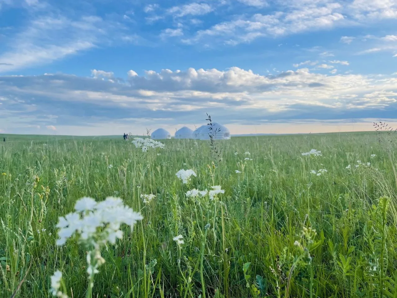 BIM Architecture | Inflatable Mongolian yurt Air Ger/Ger Studio