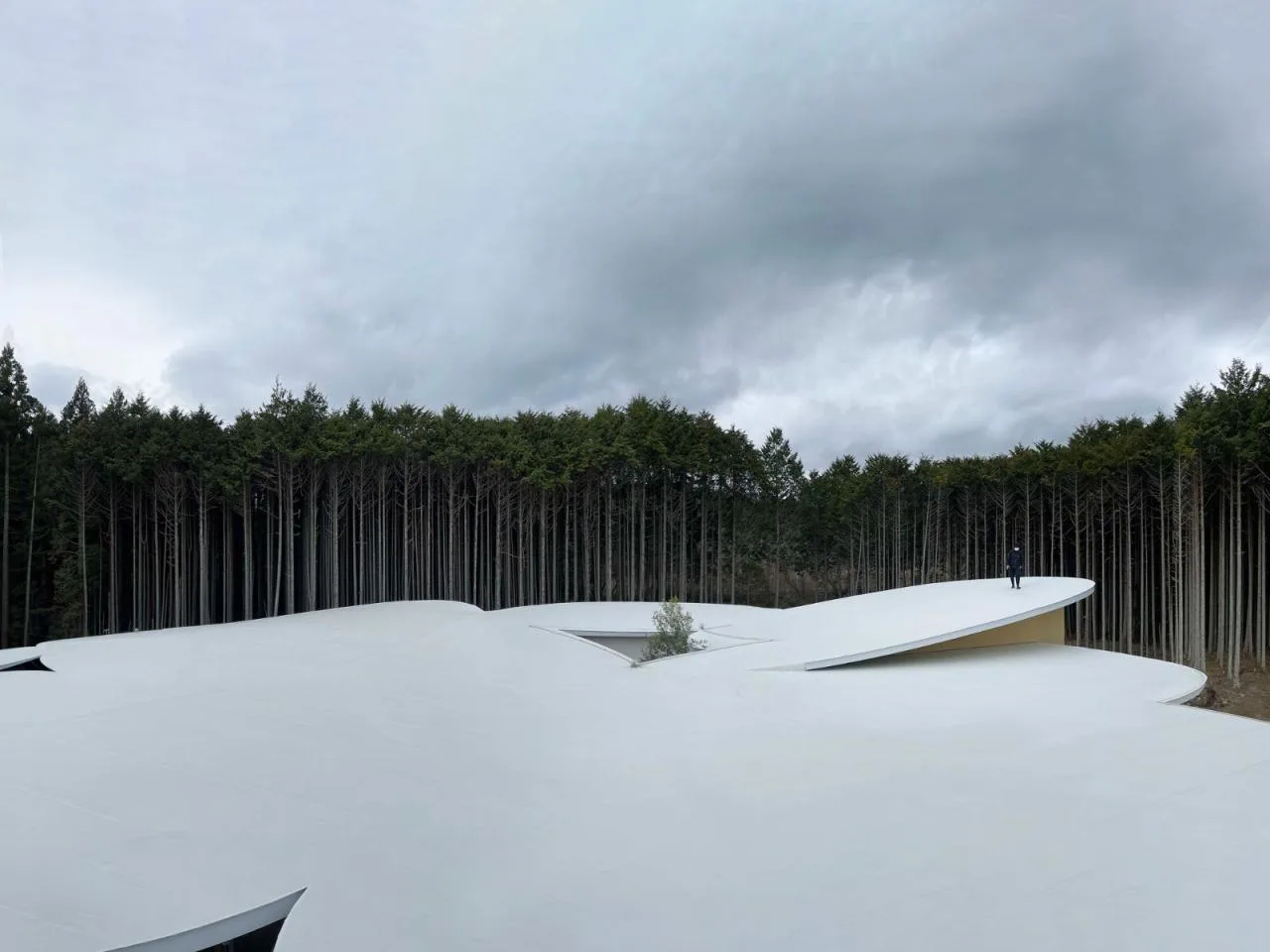 BIM Architecture | Children's Forest Nursery/Yamashita Guicheng Architectural Design